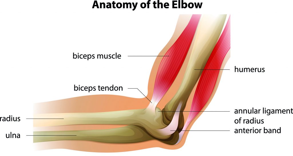 Cubital Tunnel Syndrome Arthroplasty Arthroscopic Techniques Cove Orthopaedic Clinic