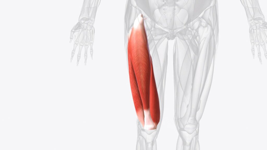 Quadriceps Muscle Tears Singapore